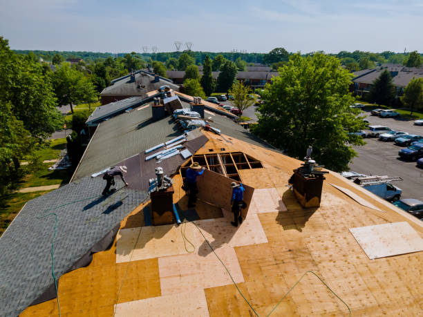 Trusted Roof Installation service in Oberlin, LA - Brentwood Metal Roofing